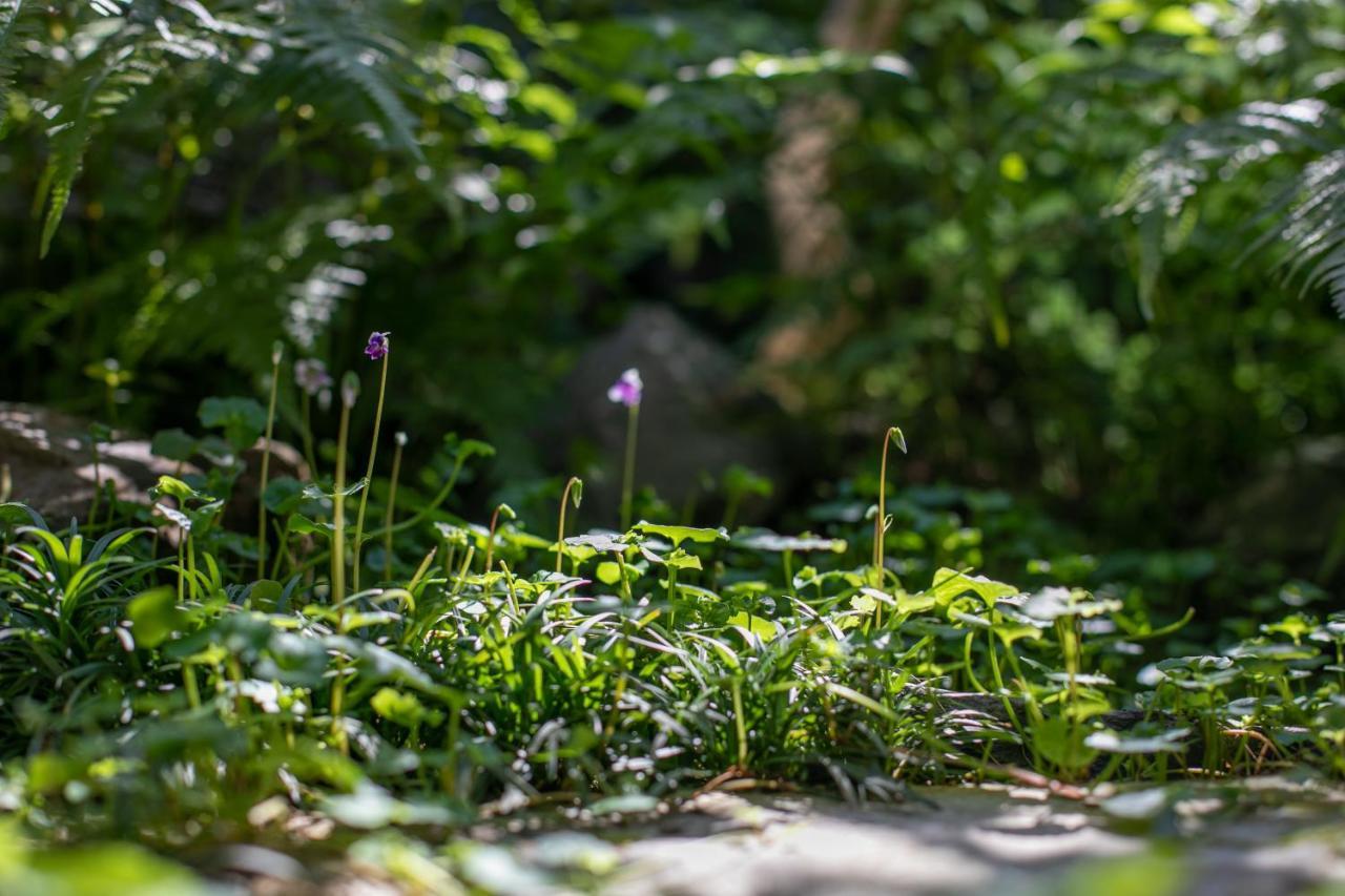 Higurashi-sou Quioto Exterior foto